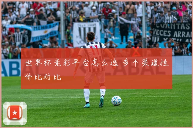 世界杯竞彩平台怎么选 多个渠道性价比对比